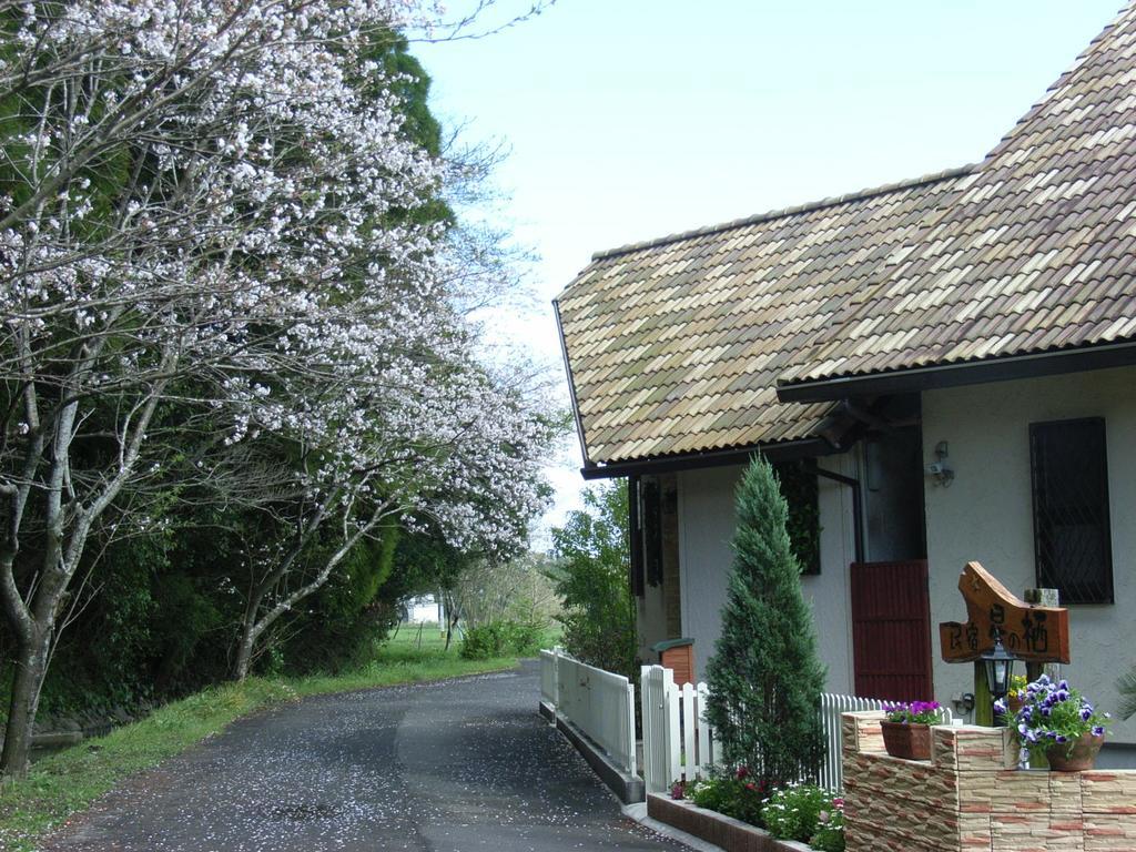 Minshuku Hoshi No Sumika Hotel Shibushi Exterior foto
